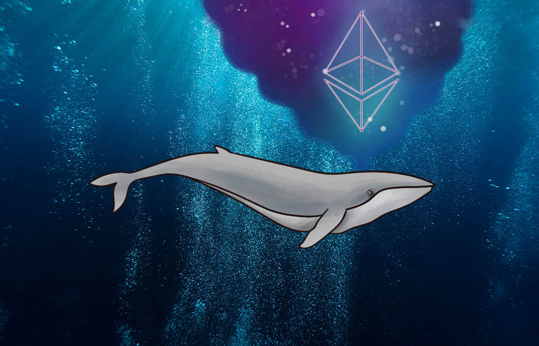 Selon les données d'Adam Cochran, les baleines cryptées ont accumulé de grandes quantités d'ETH, la cryptomonie Ethereum, au cours des derniers mois. Source : Tendance à la cryptographie