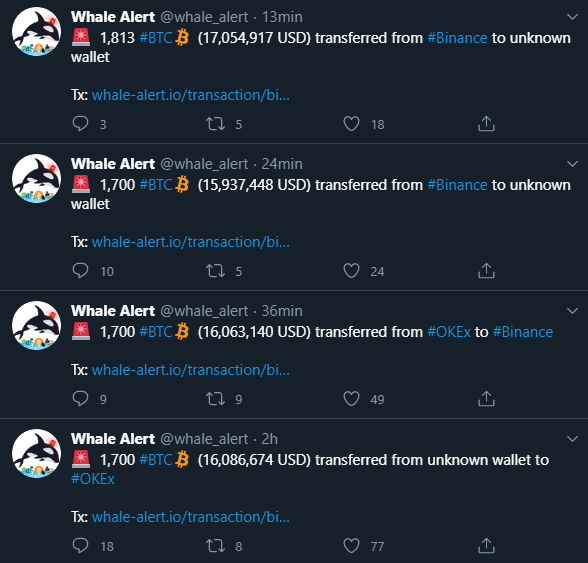 Mouvements des baleines Bitcoin. Source : Alerte aux baleines