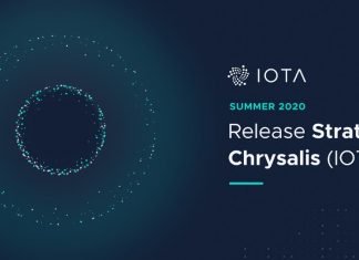 L’IOTA lance la Chrysalide à l’usage des entreprises