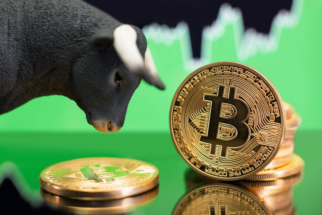 bull-run-de-bitcoin.jpg