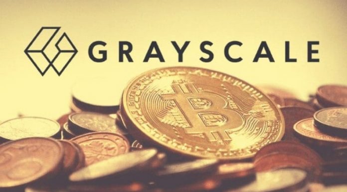 Les niveaux de gris représentent un tiers du total des Bitcoin