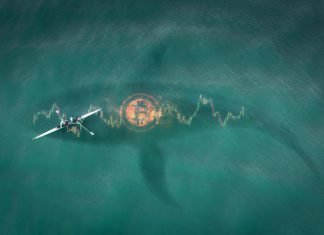 Alerte aux baleines : Bitcoin fait de gros efforts