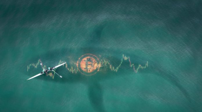Alerte aux baleines : Bitcoin fait de gros efforts