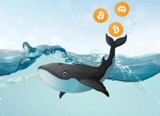 Que sont les baleines Bitcoin ?