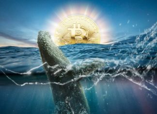 Les baleines Bitcoin peuvent-elles faire monter le prix de la CTB ?