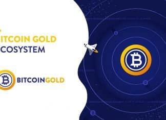 Bitcoin Gold peut-il gagner les 10 dollars ?