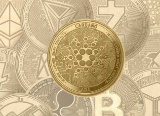 Tendance des cryptomonies : LTC, BNB et ADA