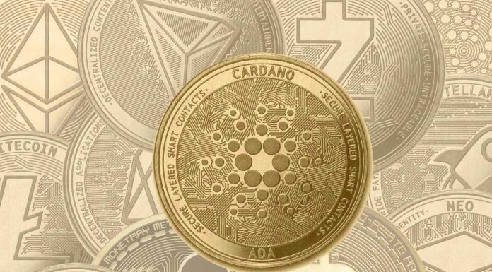 Tendance des cryptomonies : LTC, BNB et ADA