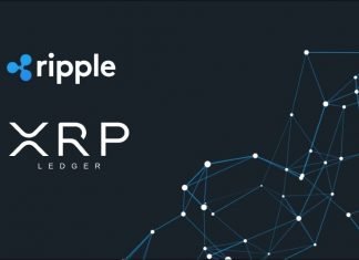 Le grand livre XRP analyse l’émission de chèques numériques
