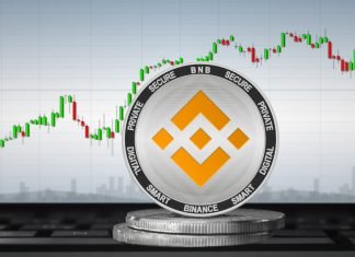 Binance Coin : support dangereux des 15 $?