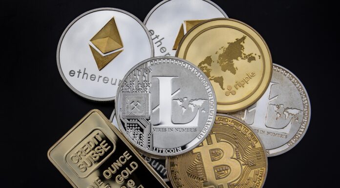Tour d’horizon des principales cryptomonnaies du marché cryptos
