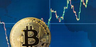 bitcoin et cryptomonnaies