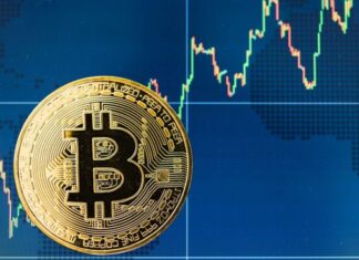 Top 3 des altcoins qui ont le plus de potentiel en 2021 bitcoin et cryptomonnaies