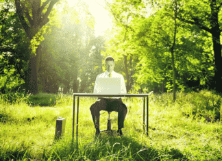 Démarrer son entreprise tout en sauvant la planète : top 8 des idées de business éco-responsables société écoresponsable business vert