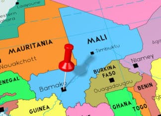 Mali : sujets clés du sommet Afrique-USA, le secteur privé et l’entrepreneuriat mali