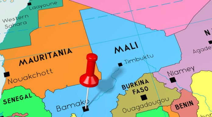 Mali : sujets clés du sommet Afrique-USA, le secteur privé et l’entrepreneuriat mali