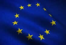 Pour Michel Cicurel (La Maison), il faut enclencher une véritable « révolution culturelle européenne »   europe