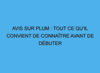 Avis sur Plum : tout ce qu’il convient de connaître avant de débuter