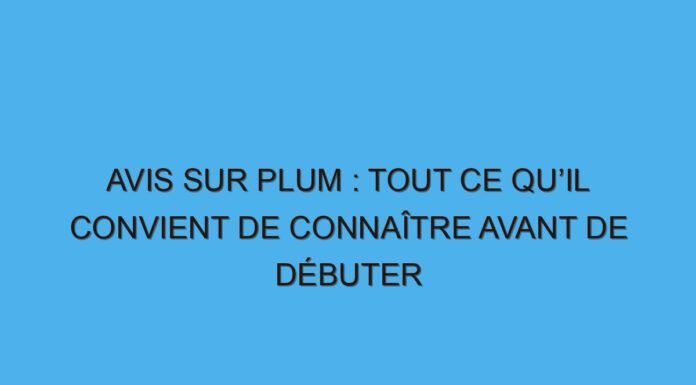 Avis sur Plum : tout ce qu’il convient de connaître avant de débuter