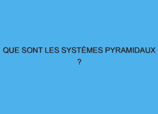 Que sont les systèmes pyramidaux ?