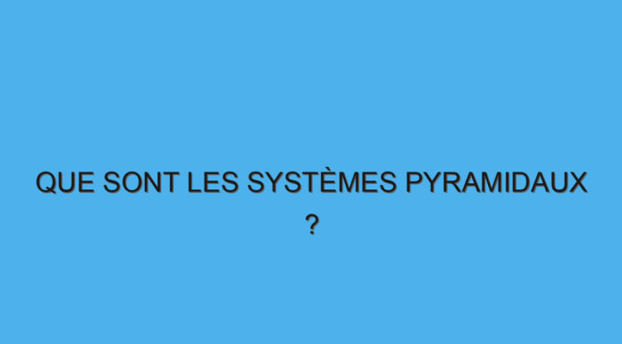 Que sont les systèmes pyramidaux ?
